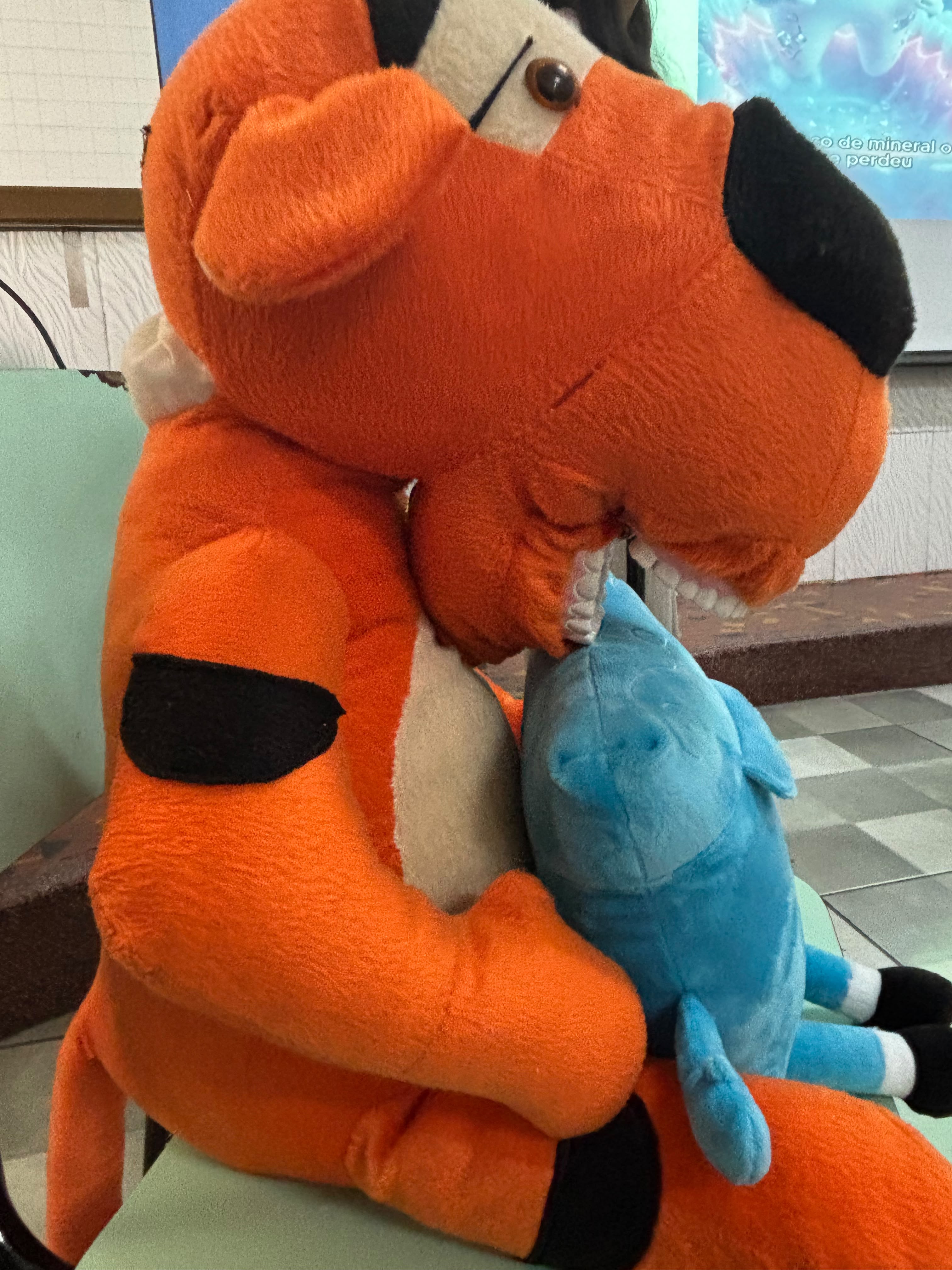 Foto